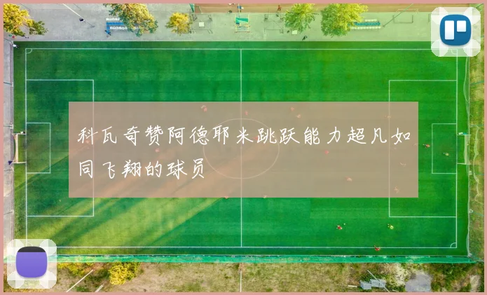 科瓦奇赞阿德耶米跳跃能力超凡如同飞翔的球员
